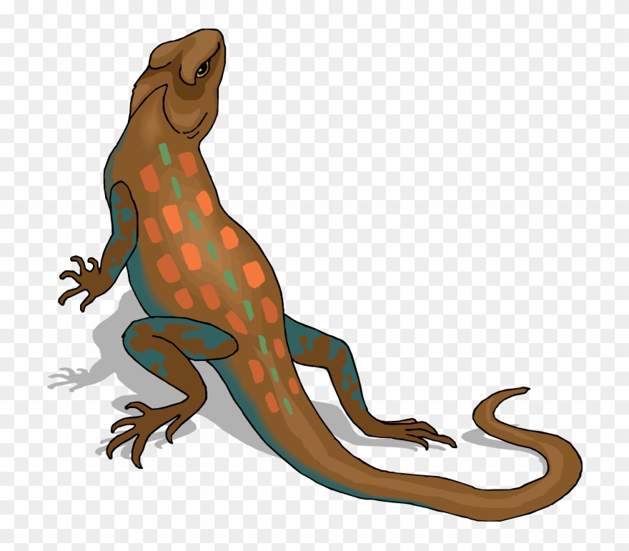 Clip Art Royalty Free Download Chameleon Clipart Reptile.