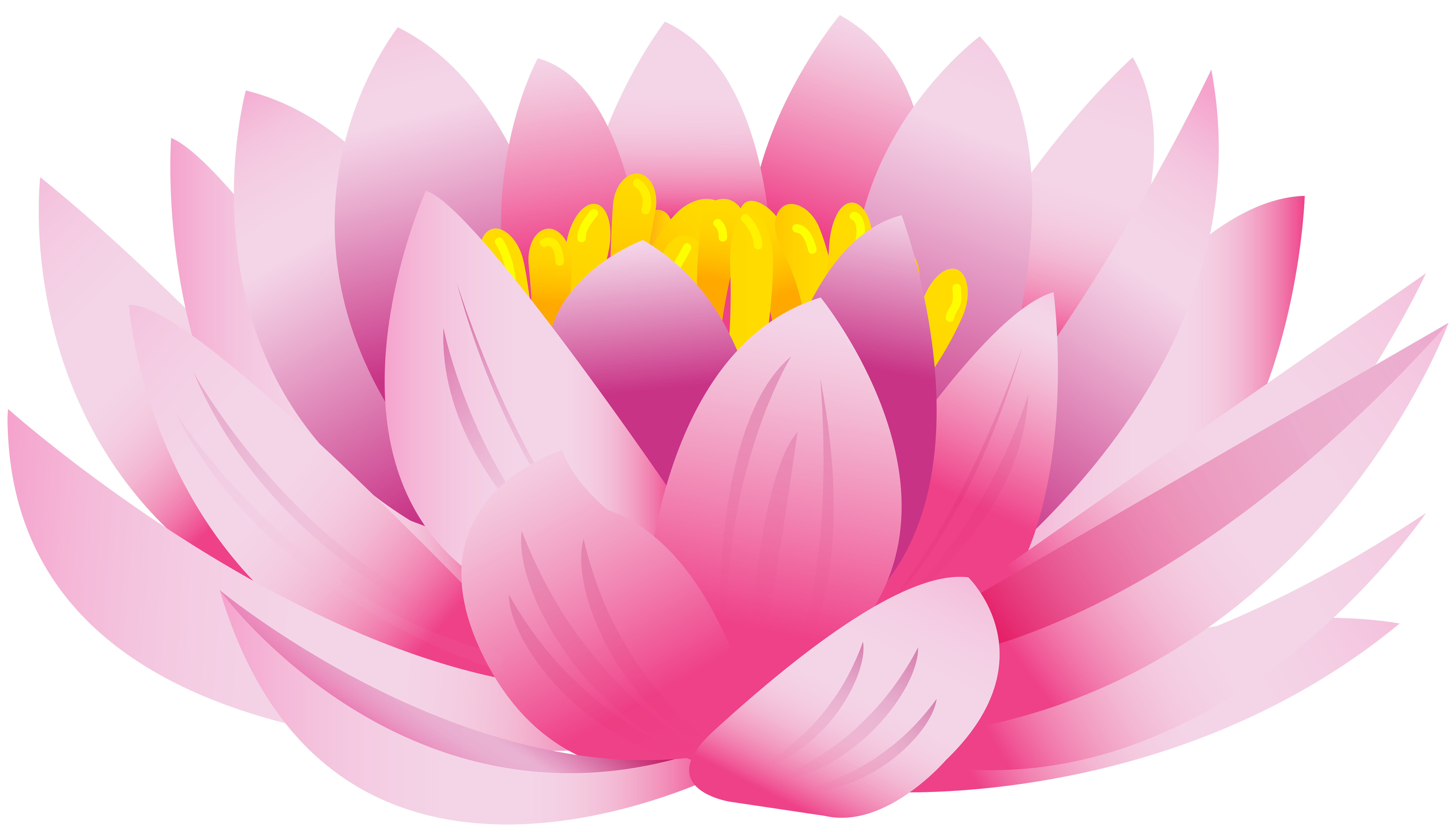 Lotus Flower PNG Clip Art Image.