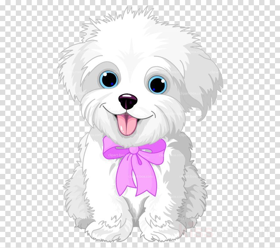 clipart maltese 10 free Cliparts | Download images on Clipground 2021