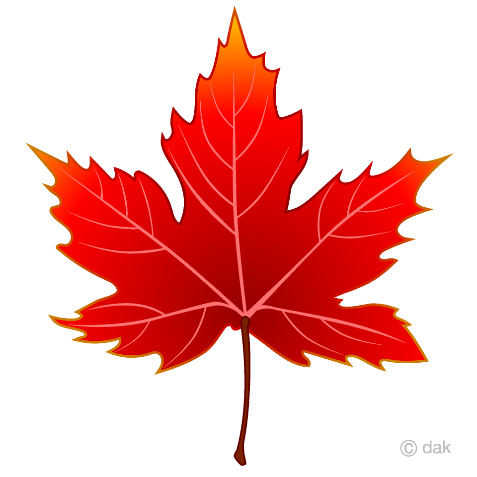 Free Red Maple Leaf Clipart Image｜Illustoon.