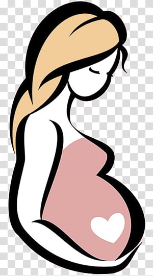 Pregnancy stages illustration, Pregnancy Childbirth Academic.