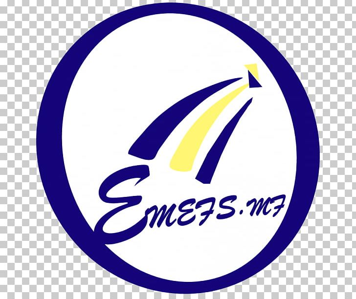 Business EMEFS MICROFINANCE LTD Limited Company Board Of.