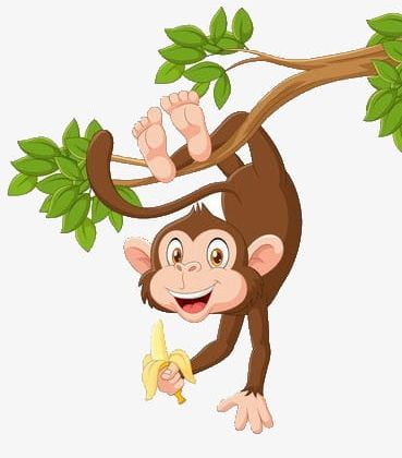 Monkey Hanging In A Tree PNG, Clipart, Banana, Barefoot.
