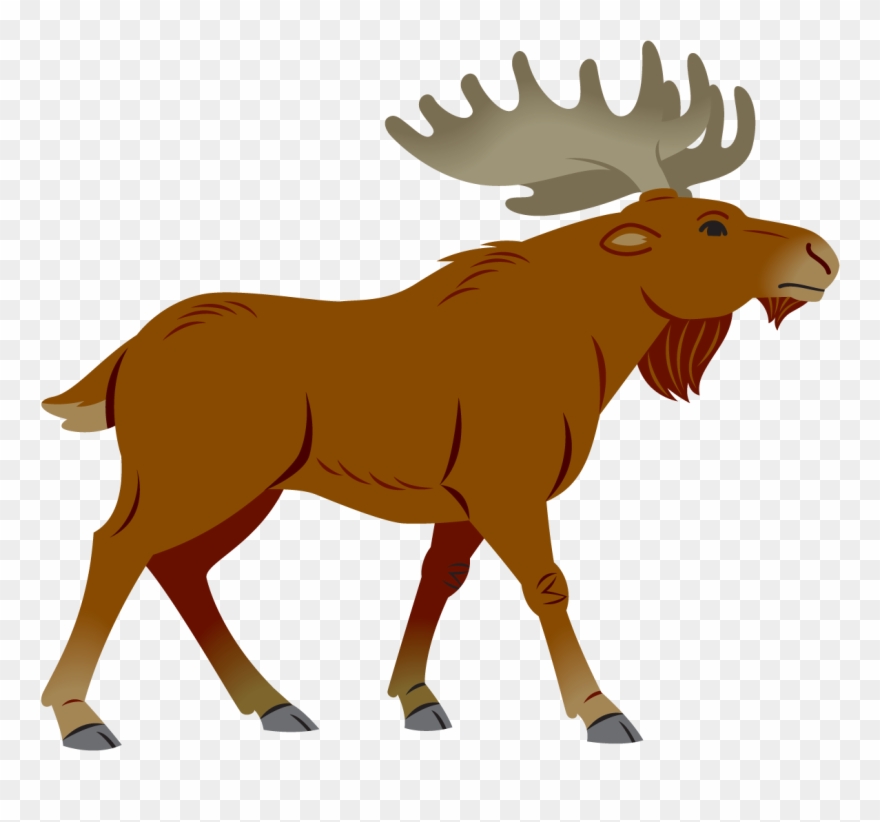 Moose Clipart Simple Cartoon.