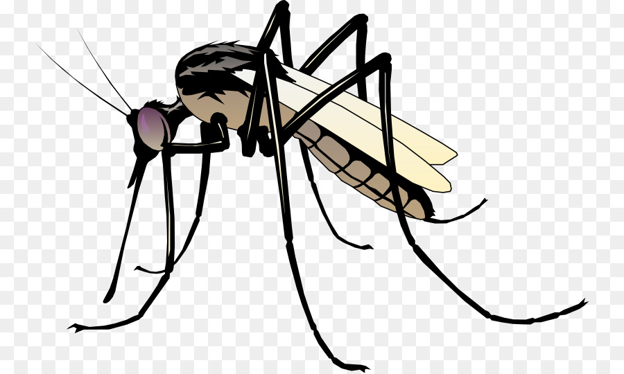 clipart mosquito cartoon 10 free Cliparts | Download images on
