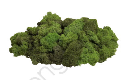 download moss green for free