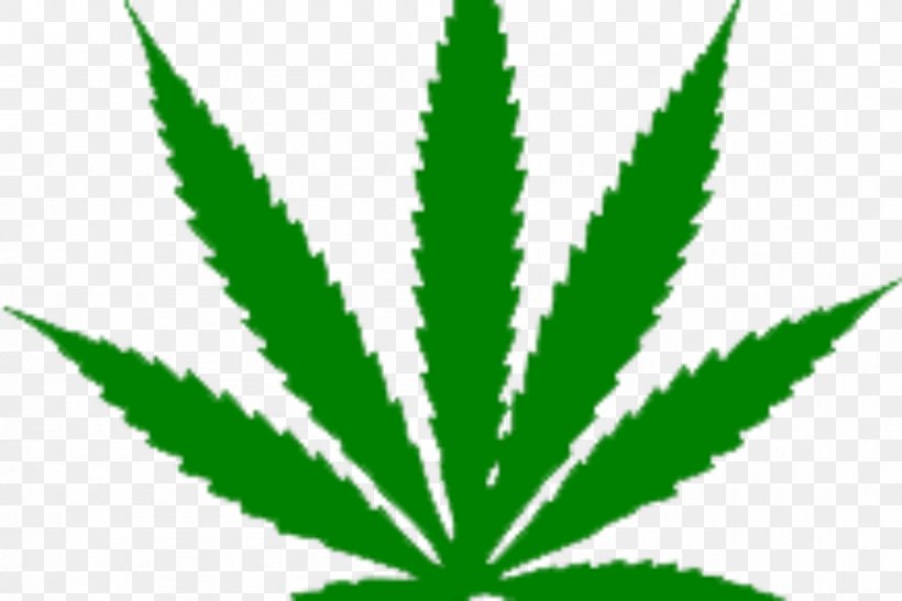Medical Cannabis Clip Art Legality Of Cannabis Hemp, PNG.