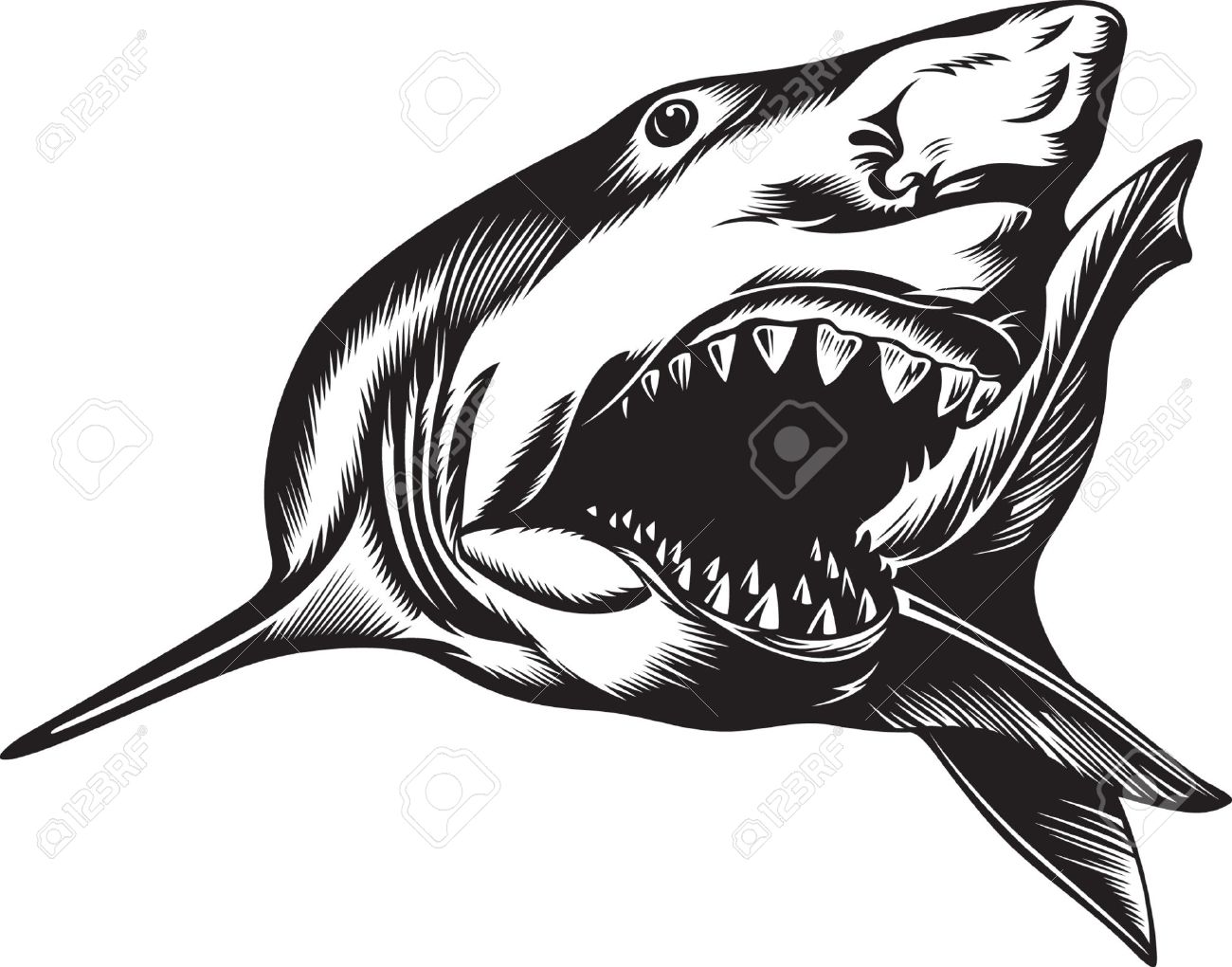 Free Free 221 Open Shark Mouth Svg SVG PNG EPS DXF File