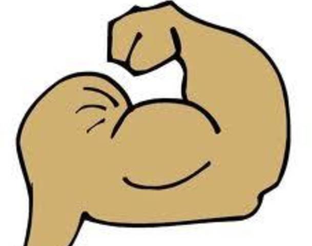 Arm muscle clipart » Clipart Station.