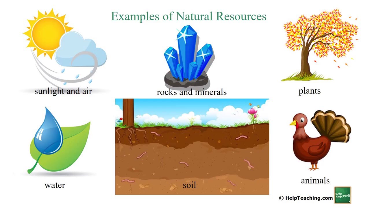 Natural Resources.