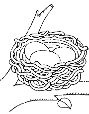 Free Nest Clip Art Black And White, Download Free Clip Art.