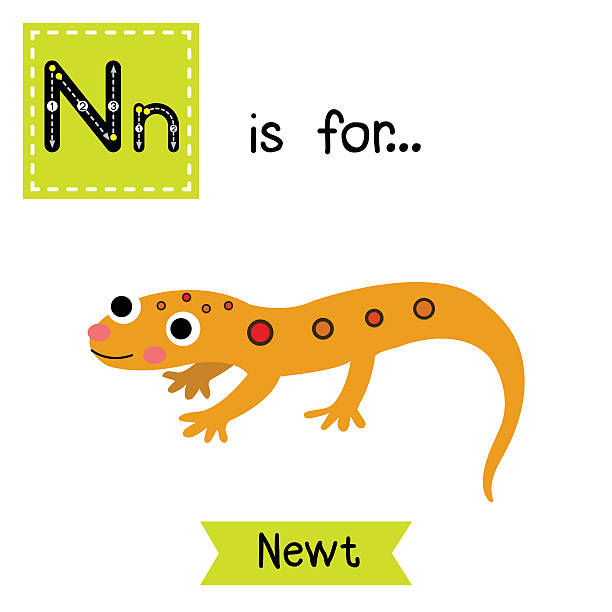 Newt Clipart & Free Clip Art Images #18248.