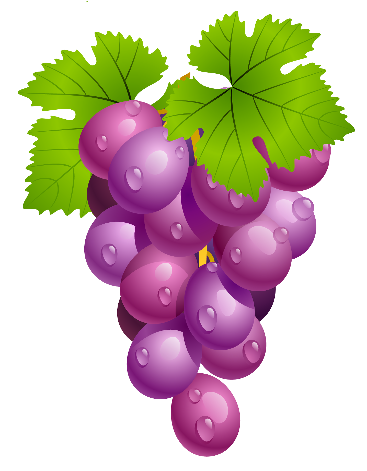 Free Purple Grapes Cliparts, Download Free Clip Art, Free.