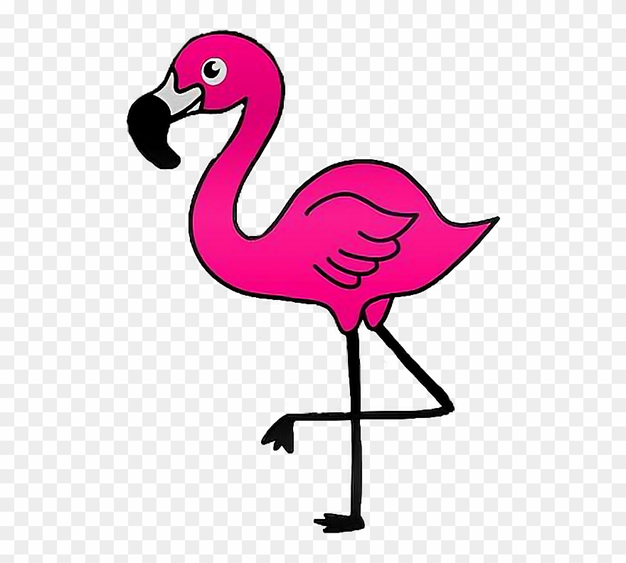 baby flamingo clipart outline