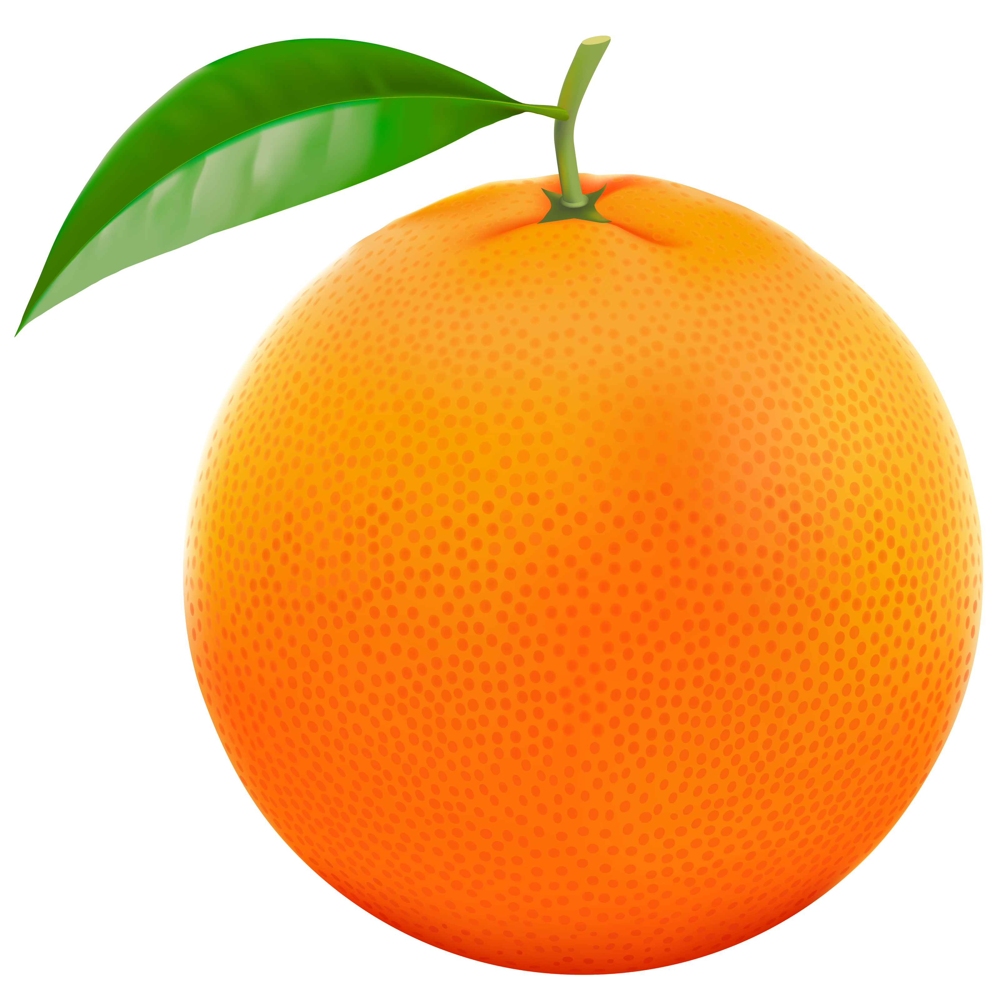 Clipart Of A Orange 10 Free Cliparts Download Images On Clipground 2024