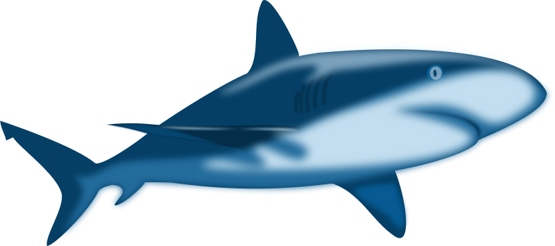 Free Clipart: Shark Shaded.
