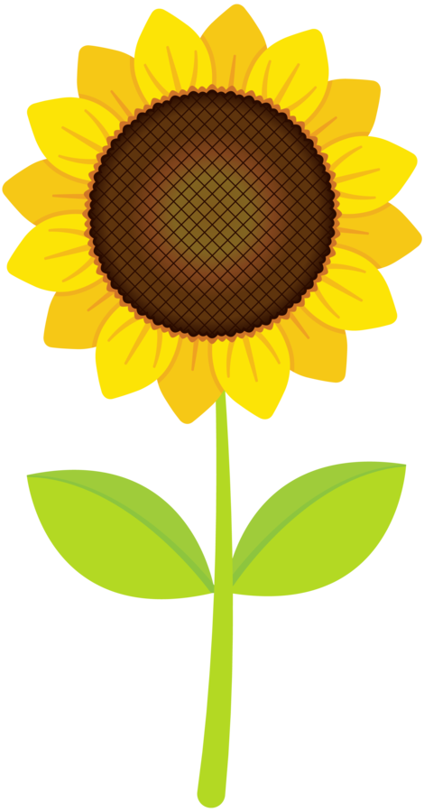Flower clipart sunflower, Flower sunflower Transparent FREE.