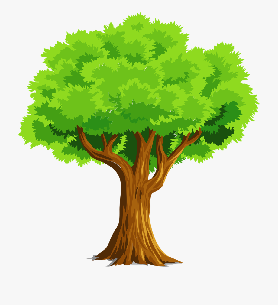 Free To Use Amp Public Domain Trees Clip Art Www.