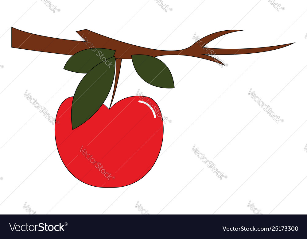 Clipart an apple fruit hanging from branch.