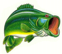 Free Bass Fish Cliparts, Download Free Clip Art, Free Clip.