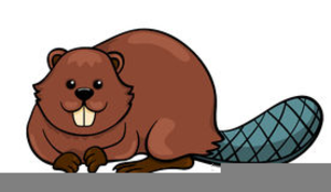 Free Clipart Of Beavers.