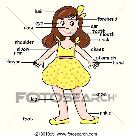 Cartoon child. Vocabulary of body Clipart.