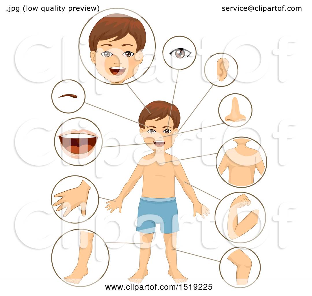 Clipart of a Boy with Close Ups of Body Parts.
