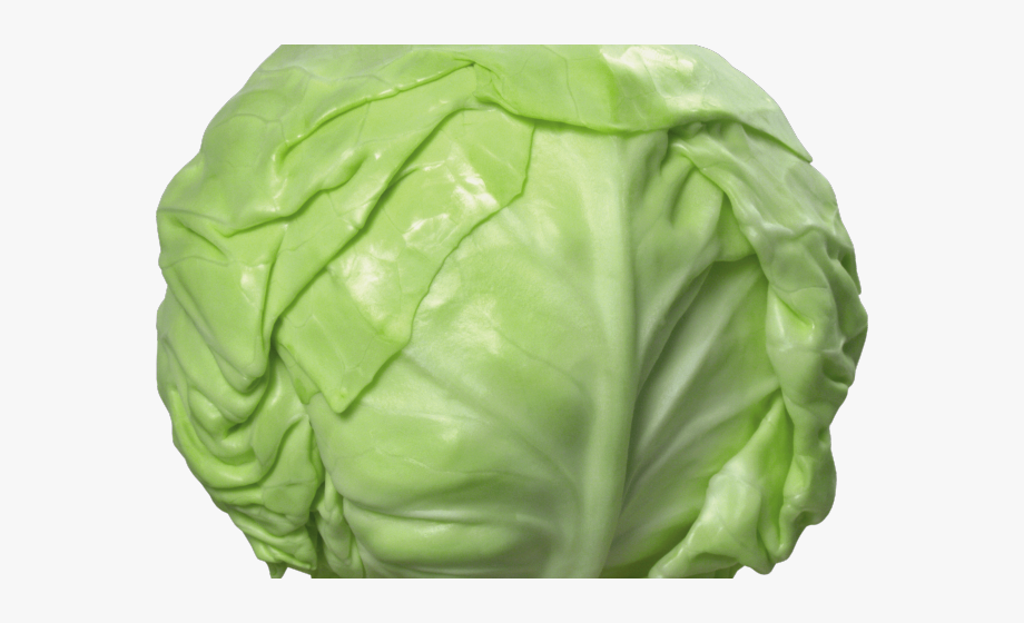 Cabbage Clipart Face.
