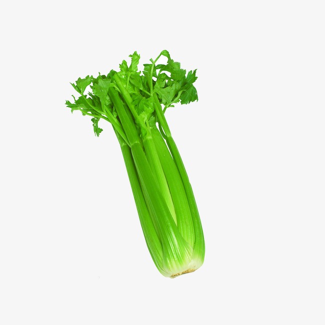 The best free Celery clipart images. Download from 25 free.
