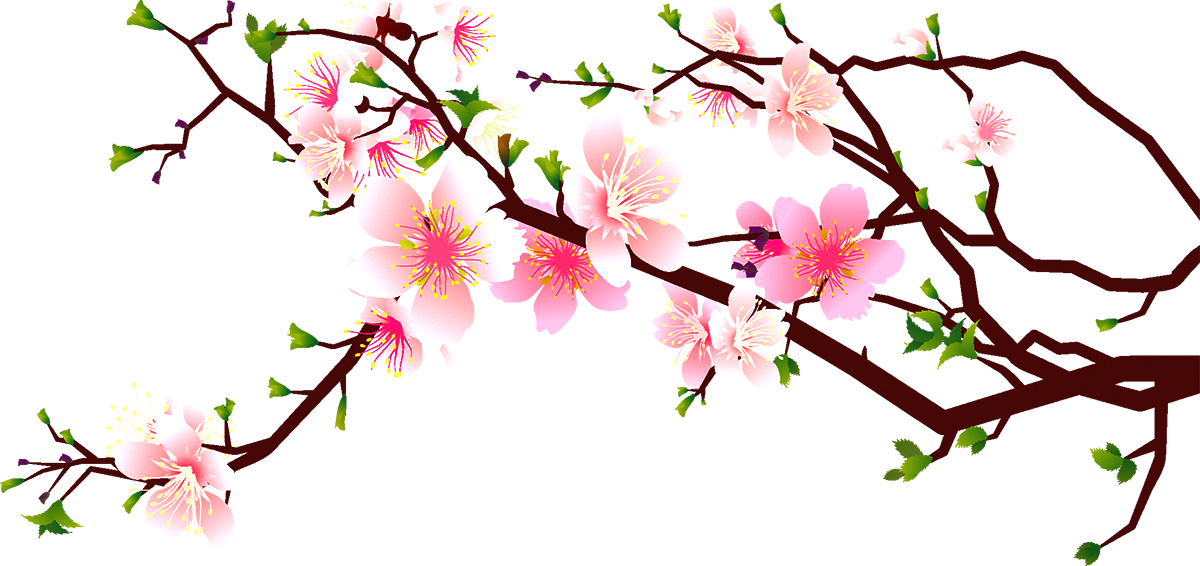 Cherry Blossom Clipart at GetDrawings.com.