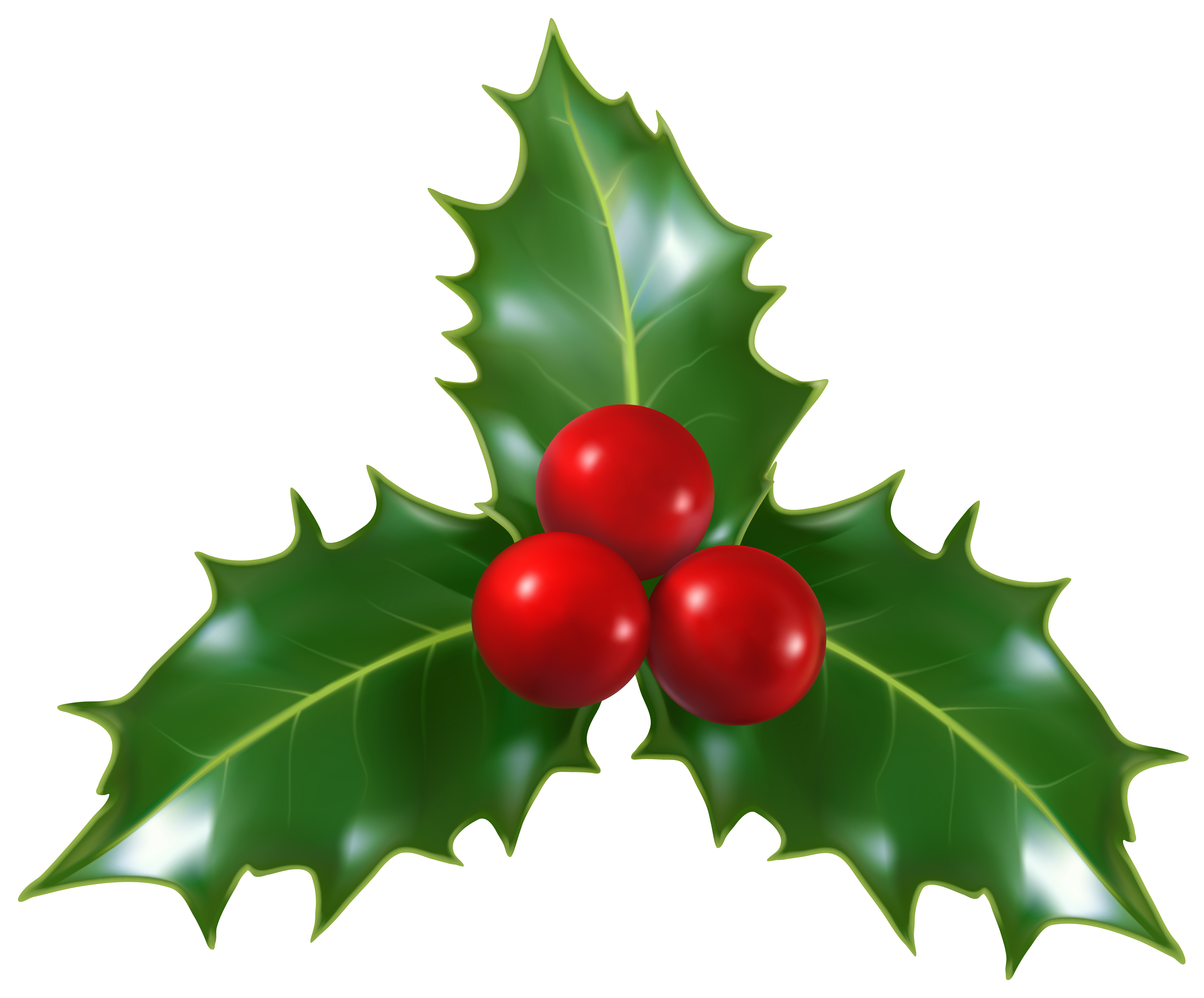 Christmas Holly Mistletoe PNG Clip.