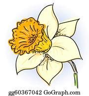 Daffodil Clip Art.