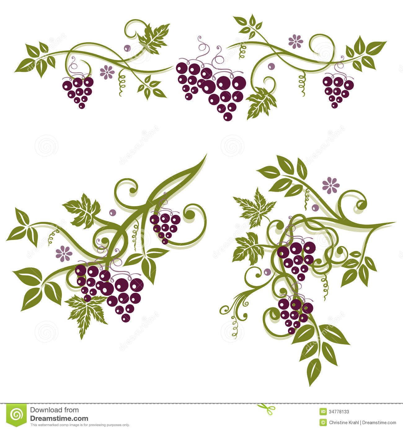 Grape Vines Image 5 Clipart.