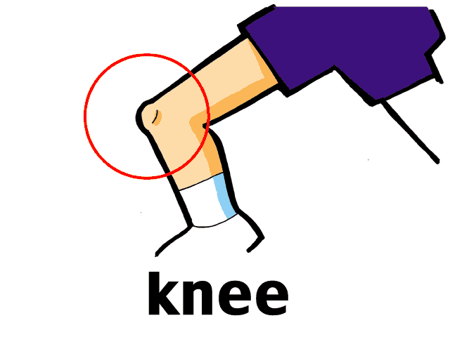 Knees Cartoon Images - Clipart Of Knee 10 Free Cliparts | Dekorisori