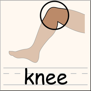 Clip Art: Parts of the Body: Knee Color I abcteach.com.