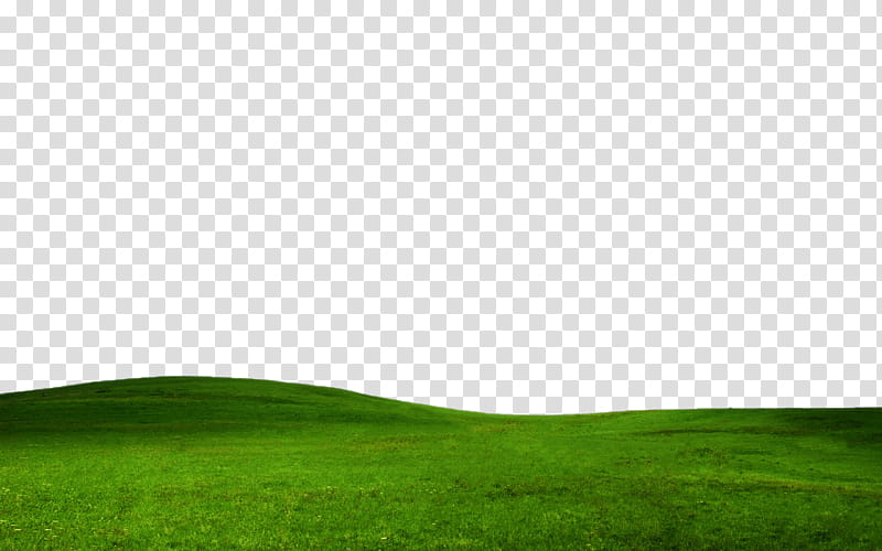 GRASS FILE , green land transparent background PNG clipart.