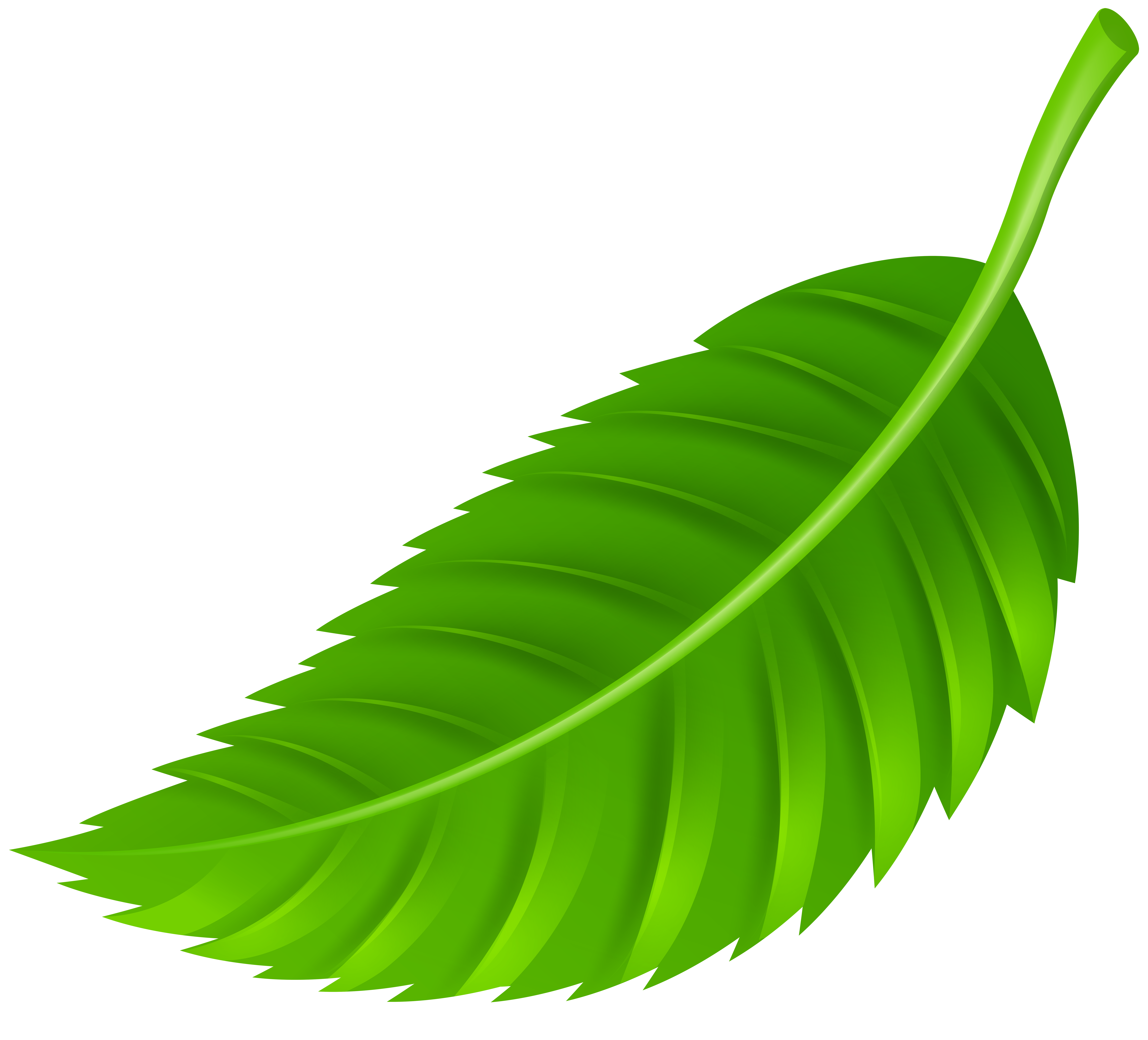 Leaf PNG Clip Art.