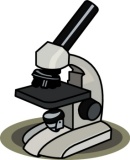 Free Microscope Clipart Pictures.