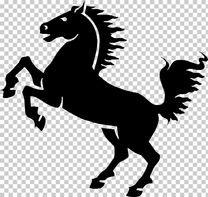 Mustang Pony , mustang PNG clipart.