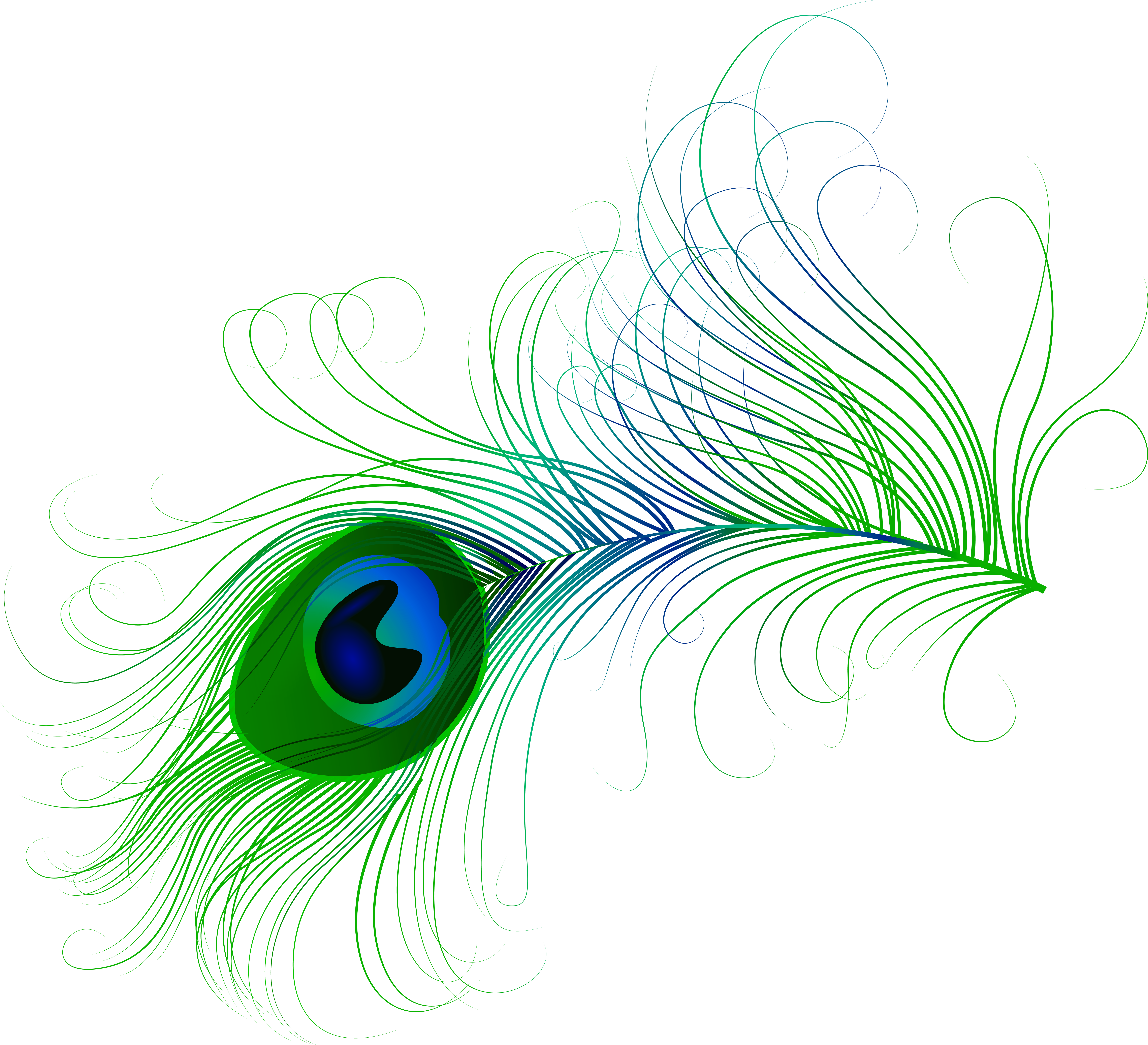 Peacock Feather PNG Clip Art Image.