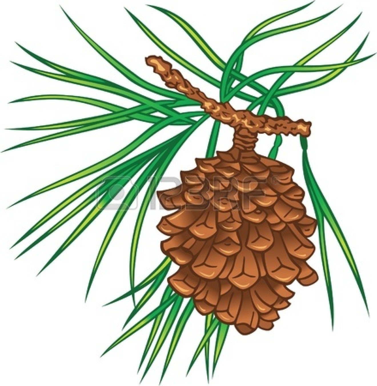 Free Free Pine Cliparts, Download Free Clip Art, Free Clip.