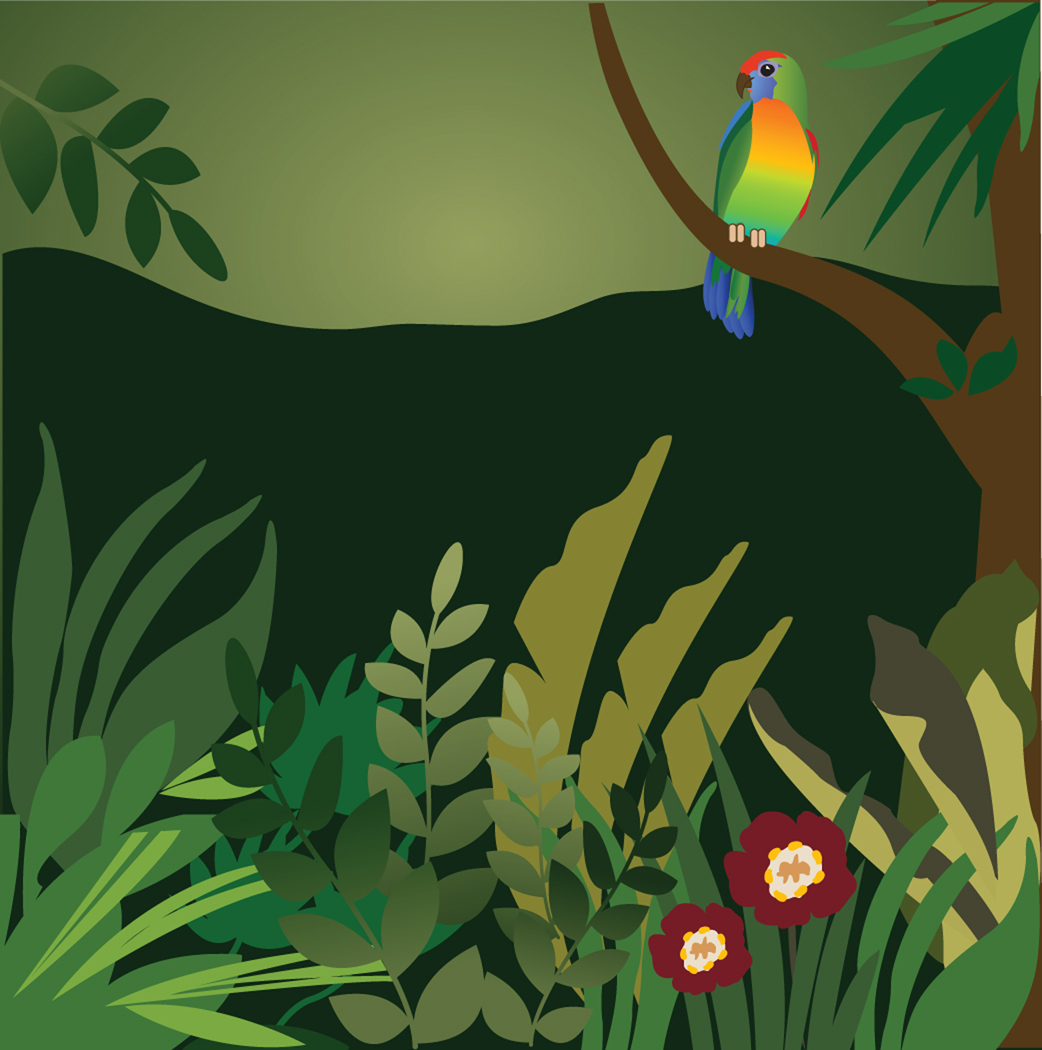 Rainforest Clipart Images 10 Free Cliparts Download Images On