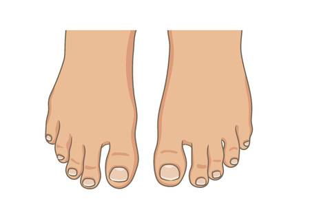 clipart of toes 20 free Cliparts | Download images on Clipground 2021