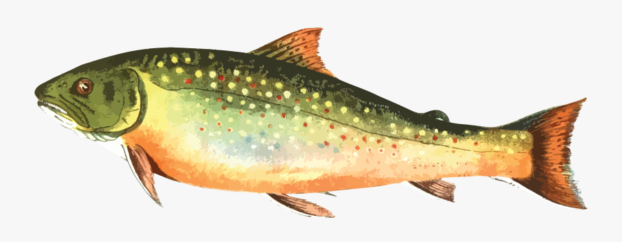 Transparent Trout Fishing Clipart.