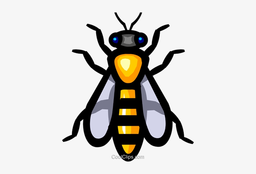 Symbol Of A Wasp Royalty Free Vector Clip Art Illustration.