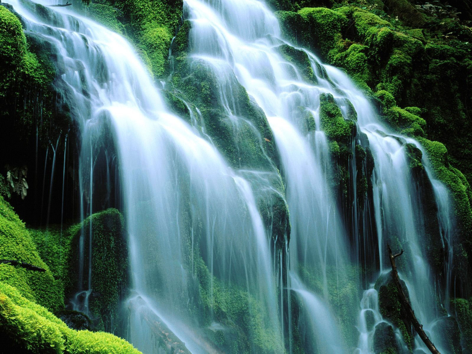 Poxy falls waterfalls.