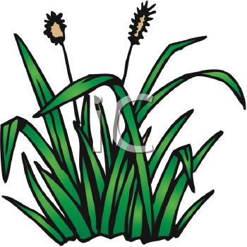 Free Pulling Weeds Cliparts, Download Free Clip Art, Free.
