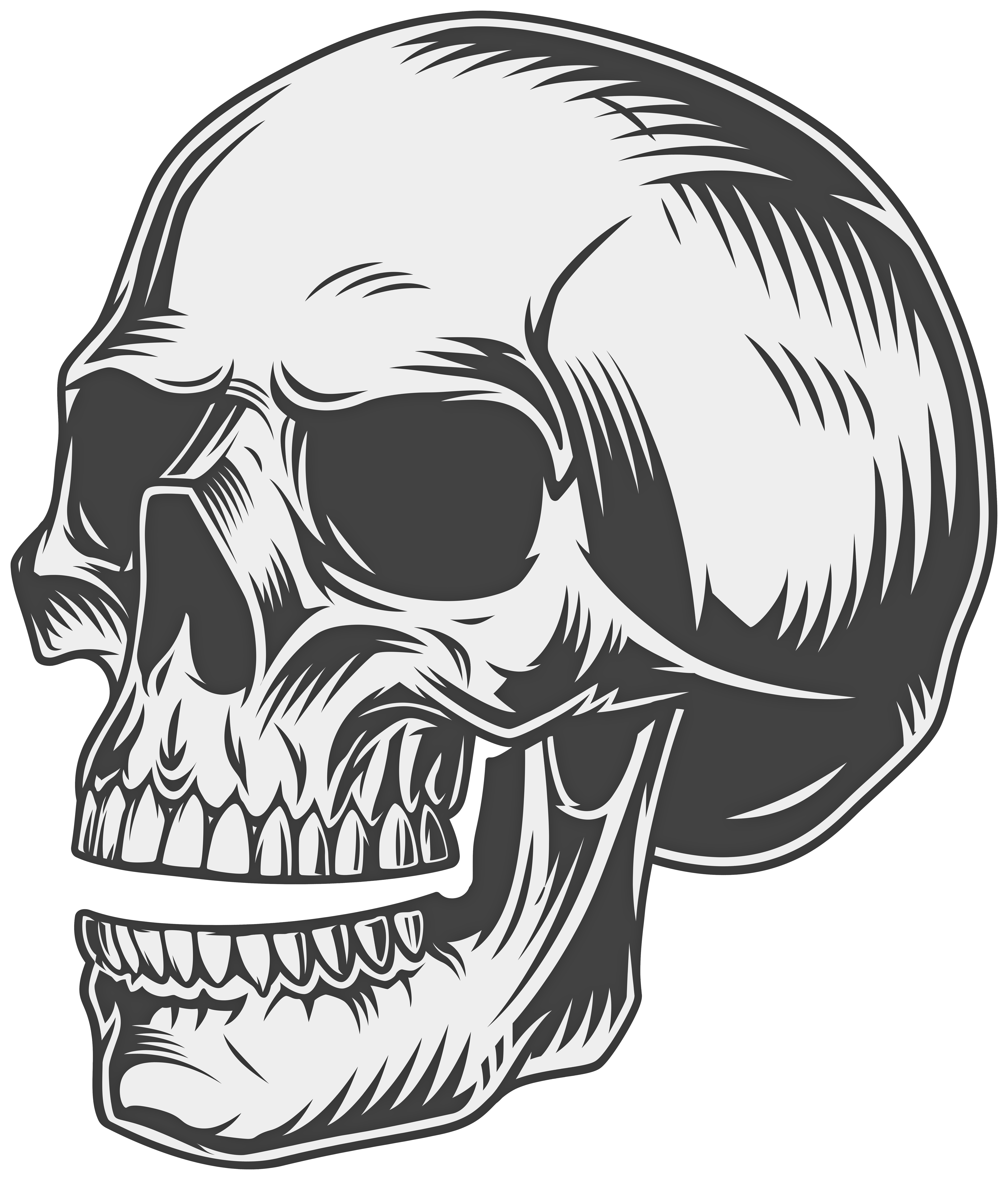 Skull PNG Clipart.