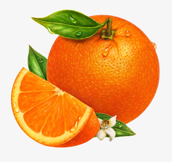 clipart orange fruit 20 free Cliparts | Download images on Clipground 2022
