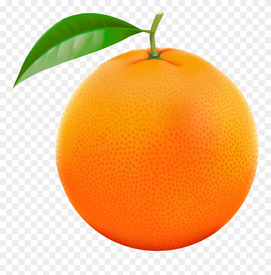 clipart orange fruit 20 free Cliparts | Download images on Clipground 2022